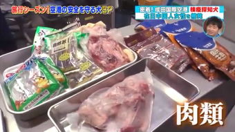 日本海關嚴查入境違禁品，肉制品及假名牌成重點目標